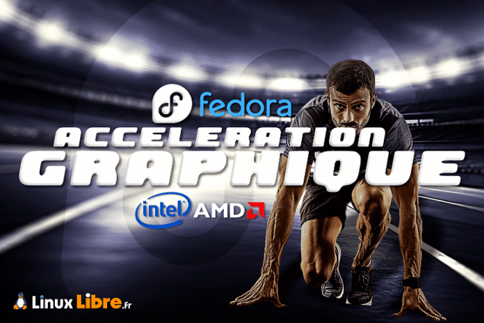 LL-ActAceelVid-251007